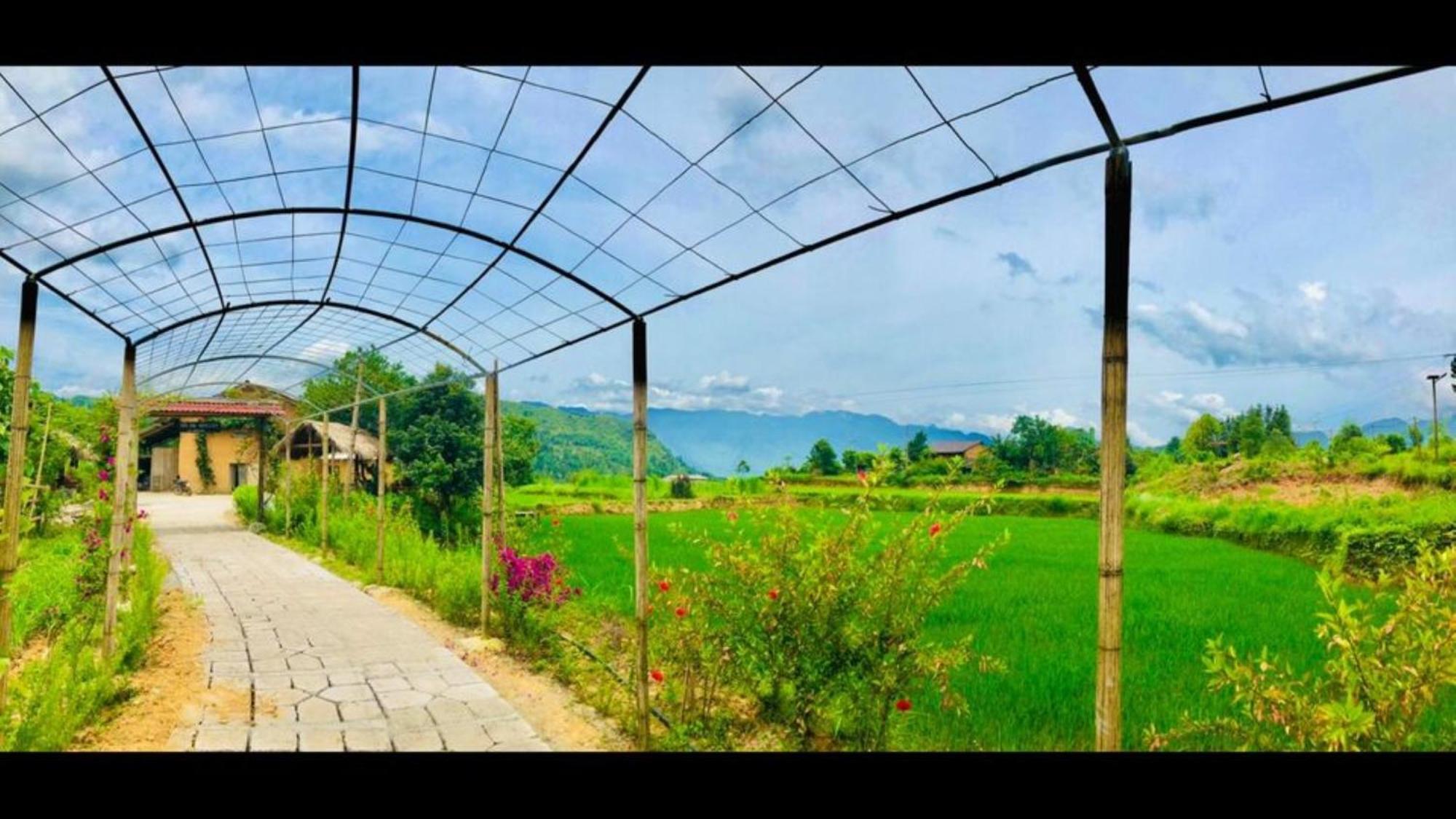 Don Dao Homestay Ha Giang Exterior photo